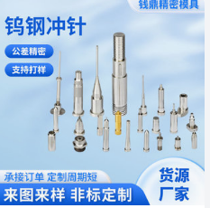 汕头导柱